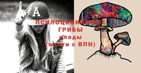 дмт Армянск